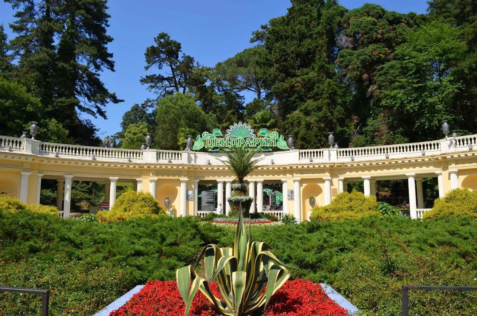 Правовой статус и официальная позиция властей